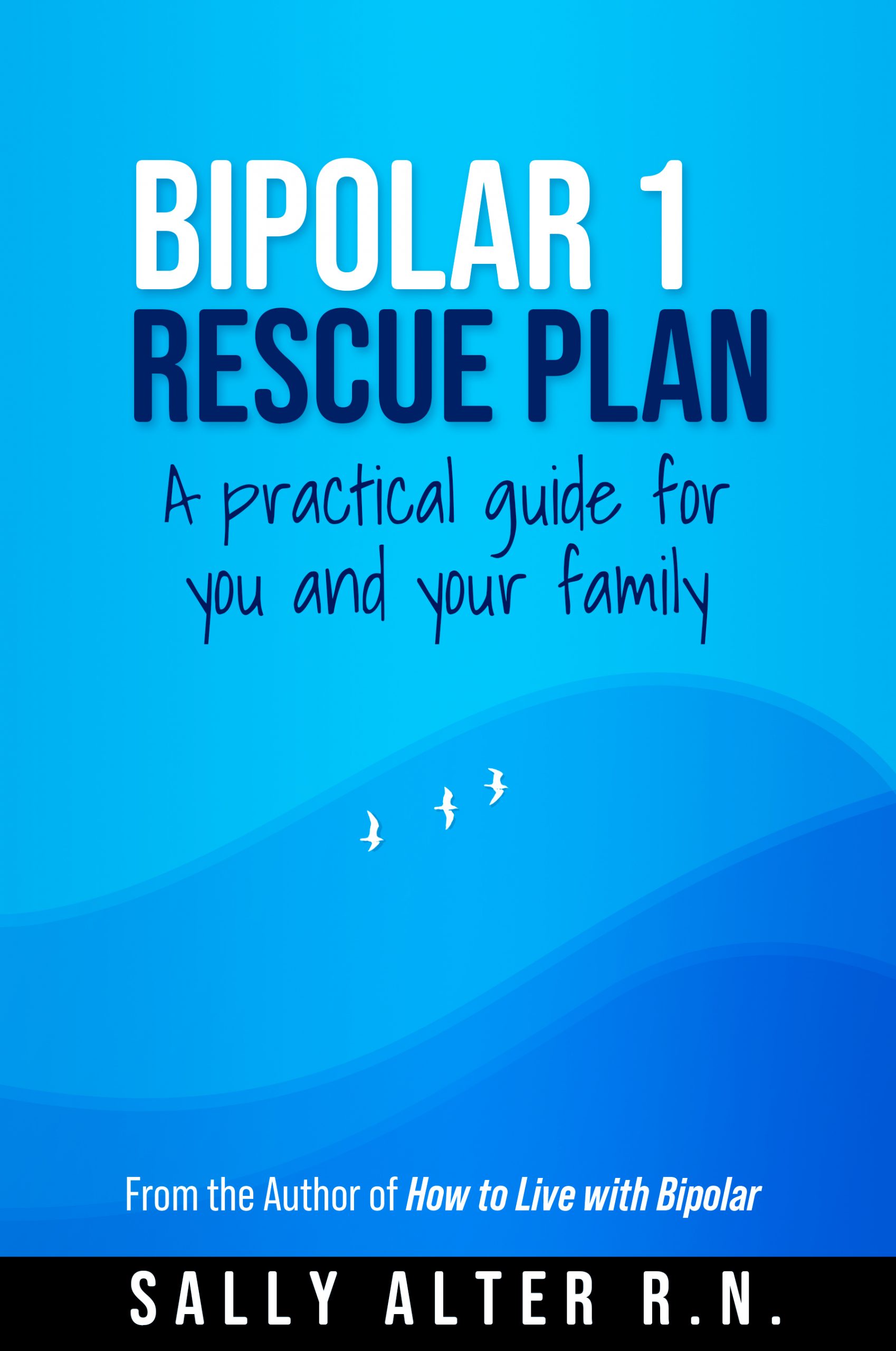 002 Bipolar 1 Rescue Plan EBOOK cover v6